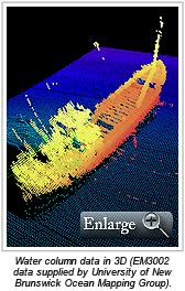 Water column data in 3D (EM3002 data supplied by University of New Brunswick Ocean Mapping Group).
